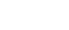 Meticulosity: Vision for Detail