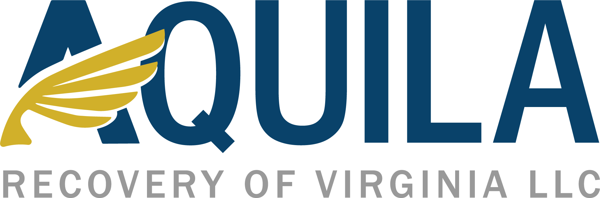 AquilaVA_logo_final