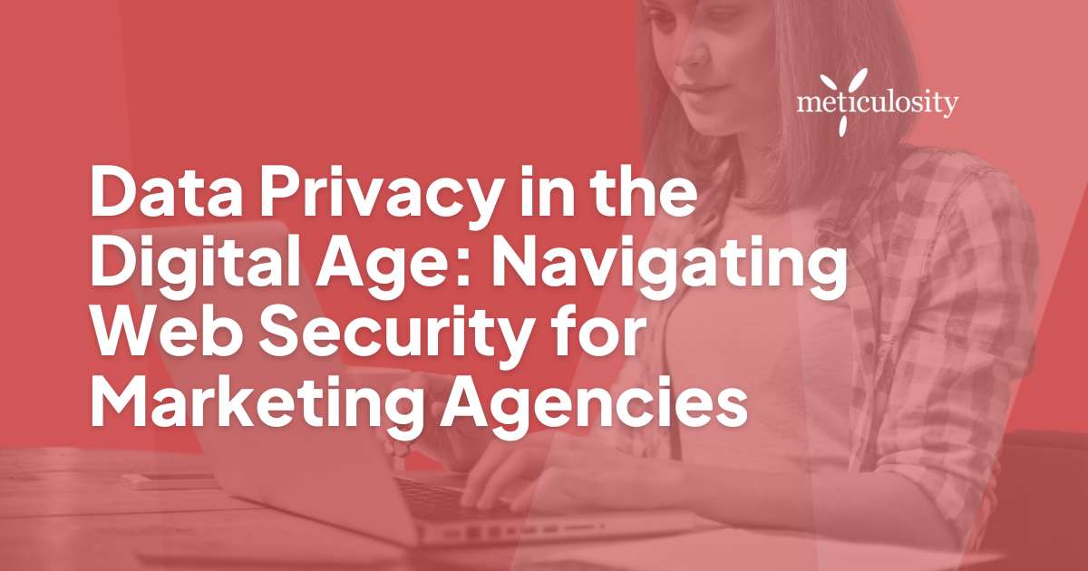 Data Privacy In The Digital Age: Navigating Web Security For Marketing Agencies